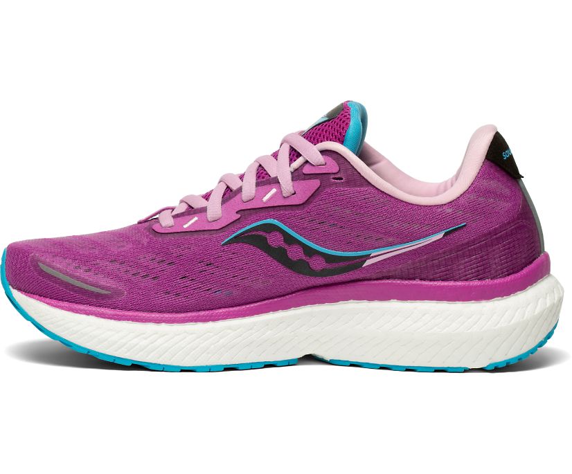 Női Saucony Triumph 19 Futócipő Lila | HU 451EBC